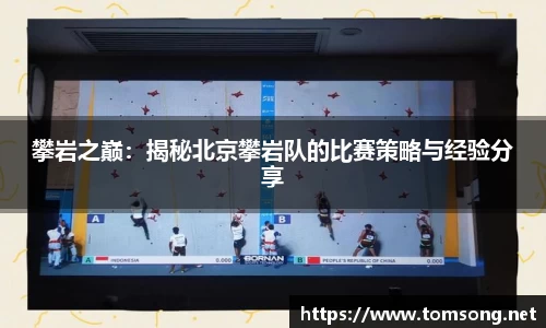 攀岩之巅：揭秘北京攀岩队的比赛策略与经验分享